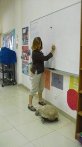 One of our school tortoises assists Robin in teaching the finer points of gothic fiction.